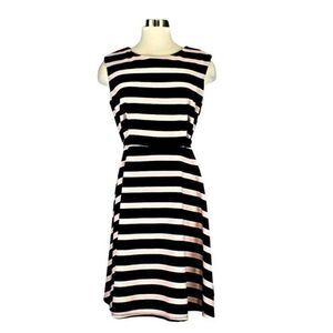 Dress Sleeveless Fit and Flare Knee Length Striped Pink Black Women's 12 Petite